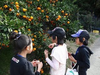 DSC08475.jpg