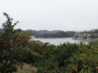 DSC08498.jpg