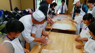 IMG_20180520_105441.jpg