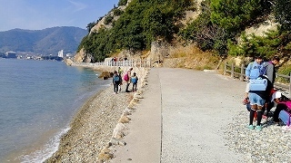 IMG_20181125_111815.jpg