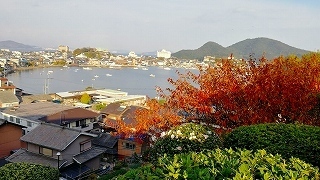 IMG_20181125_151724.jpg