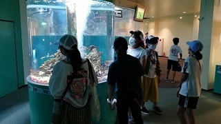 IMG_20200809_134005.jpg