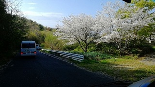 IMG_20210403_083441.jpg