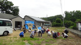 2017SEED草取り.jpg